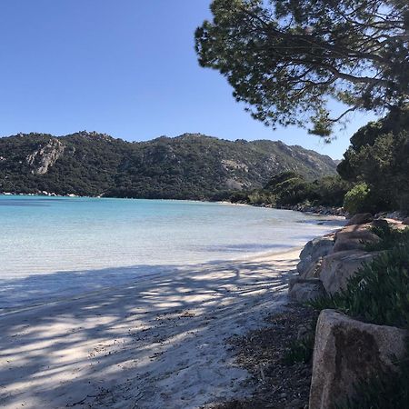 Caseddu Au Coeur Du Maquis Sotta Eksteriør billede